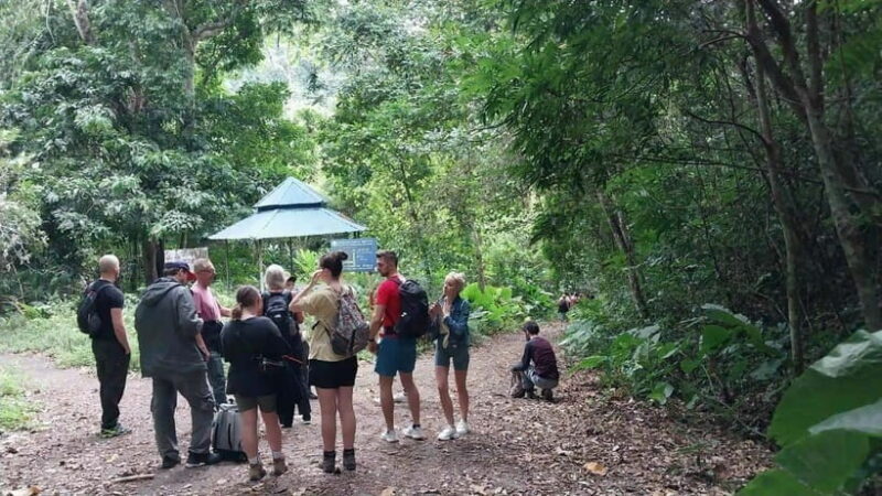 Cat Ba: National Park Day Trip with Cycling and Kayaking - Key Points