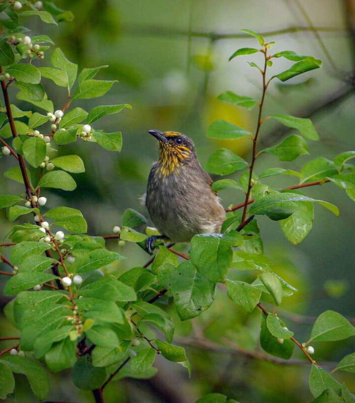 Cat Ba National Park Full Day Trekking from Cat Ba Island - Key Points