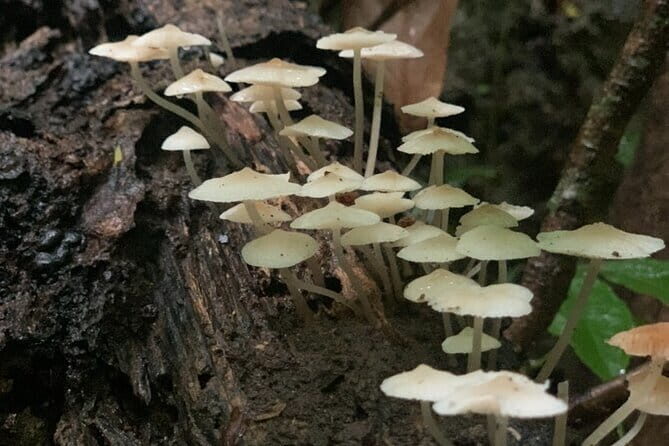 Cat Ba National Park Full Day Trekking Tour to Viet Hai Village - FAQ: Your Practical Questions Answered