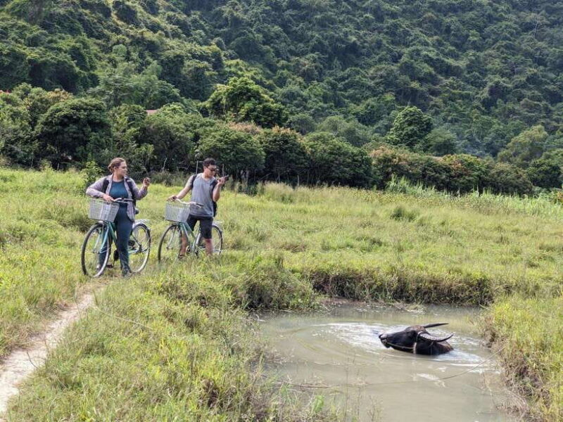 Cat Ba National Park Trekking & Ancient Village Biking - Key Points