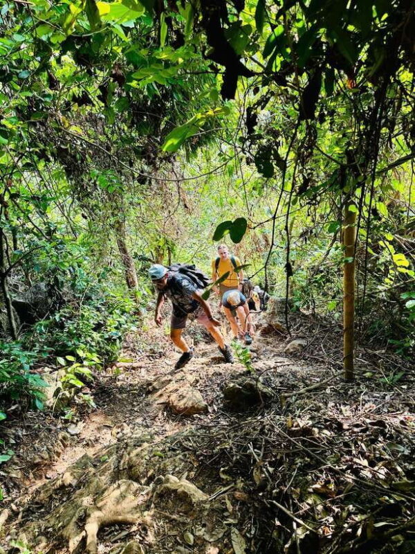 Cat Ba National Park Trekking & Ancient Village Biking - In-Depth Review of the Cat Ba National Park Trekking & Ancient Village Biking Tour