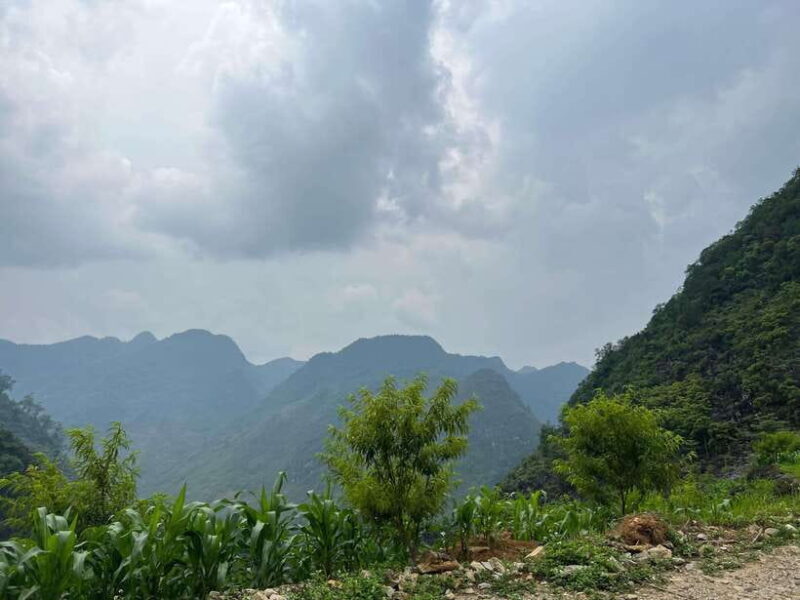 Cat Ba National Park, Viet Hai, Lan Ha Bay Full Day Eco Tour - The Sum Up