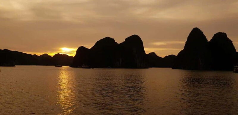Cat Ba: Night Kayaking with Glowing Plankton - Who Will Appreciate This Tour?