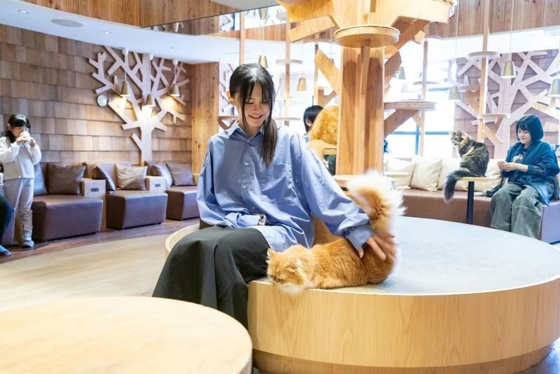 Cat Cafe MOCHA (Ikebukuro Main Store) - A calm pause in the middle of Ikebukuro
