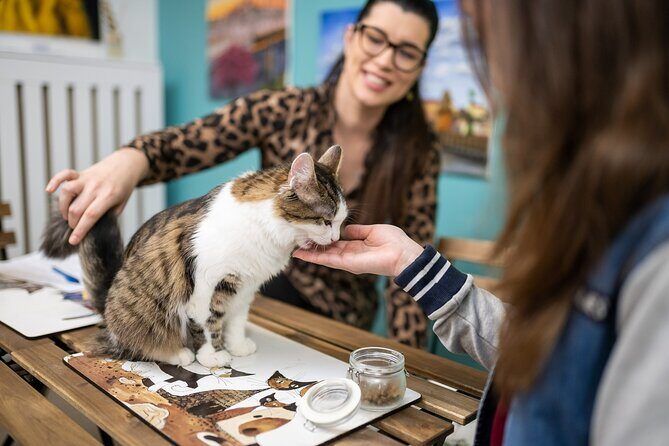 Cat Museum Budapest Entry Ticket - What Do Visitors Say?