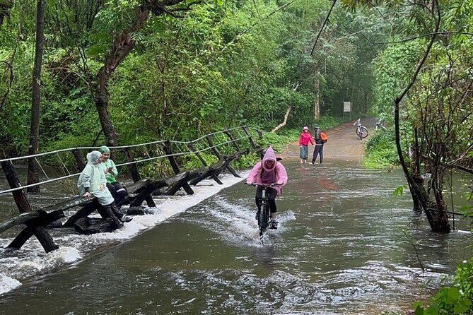 Cat Tien National Park 2-Day Tour: Biking, Trekking, Safari Night - Key Points