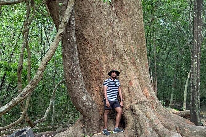 Cat Tien National Park 2-Day Tour: Biking, Trekking, Safari Night - A Closer Look at the 2-Day Adventure