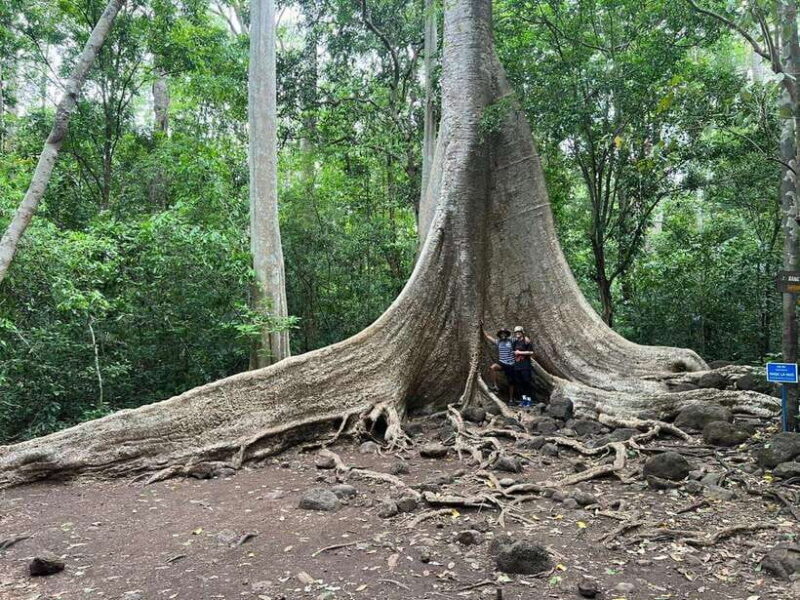 Cat Tien National Park Cycling Tour With Tri An Lake Camping - Practical Details: What to Expect
