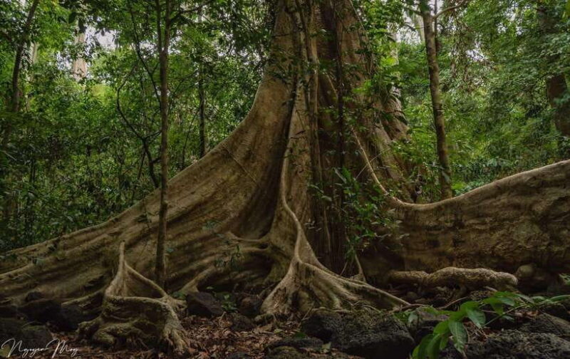 Cat Tien National Park Cycling Tour With Tri An Lake Camping - Final Thoughts