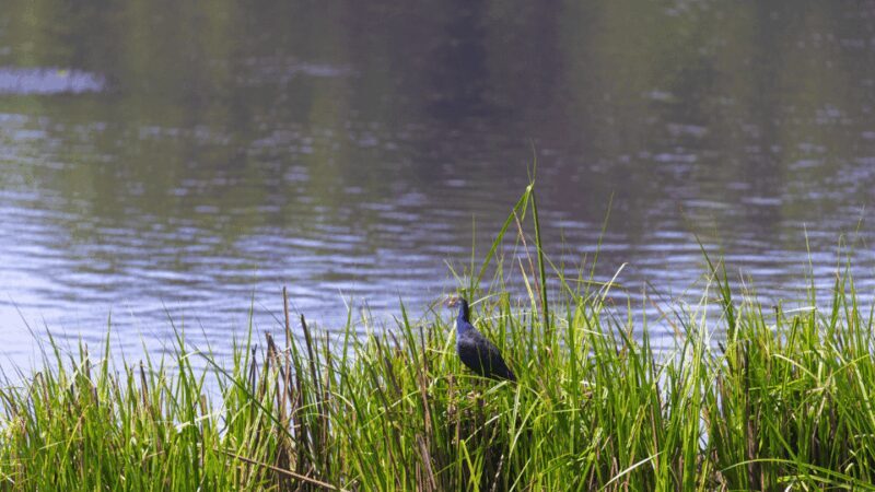 Cat Tien National Park with Crocodile Lake - Who is This Tour Best For?