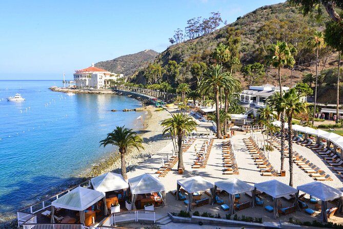 Catalina Express: San Pedro to Avalon One-Way Ferry - Authentic Experiences and Real Traveler Insights