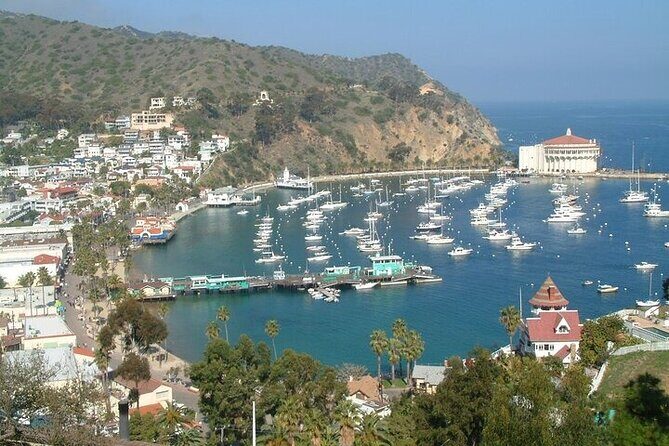 Catalina Island 2-Hour Insider Adventure Tour - FAQ