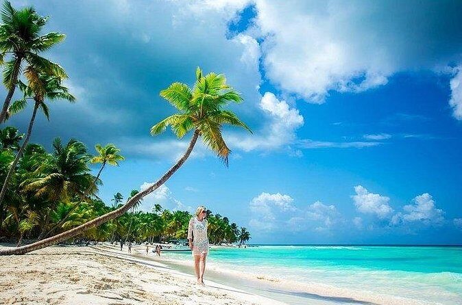 Catalina Island and Bayahibe Snorkel Tour - Who Should Consider This Tour?