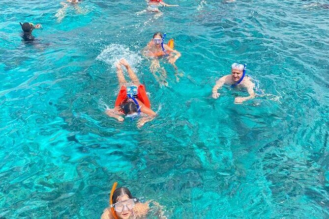 Catalina Island and Snorkeling - Full-day Trip - A Deep Dive into the Catalina Island and Snorkeling Tour