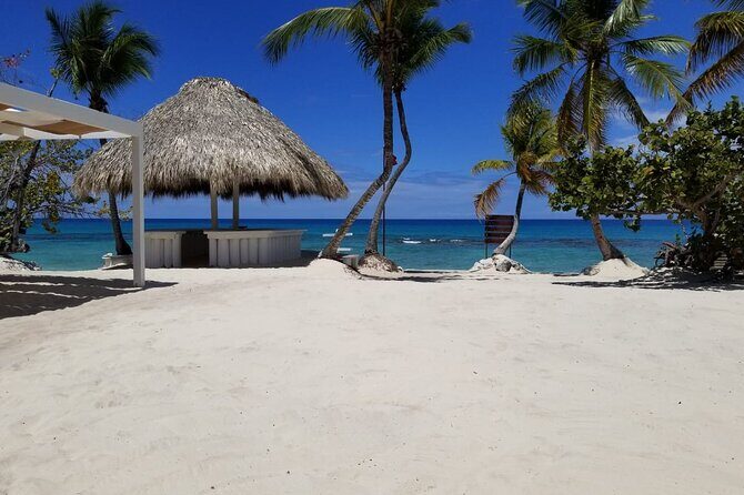 Catalina Island and Snorkeling - Full-day Trip - The Sum Up