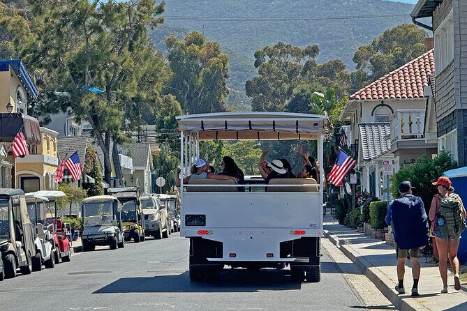 Catalina Island City and Scenic Mt Ada Tour - A Scenic Ride Through Avalon: Catalina Island City and Scenic Mt. Ada Tour