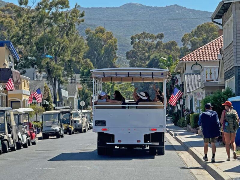 Catalina Island City & Scenic Mt. Ada Tour - Key Points