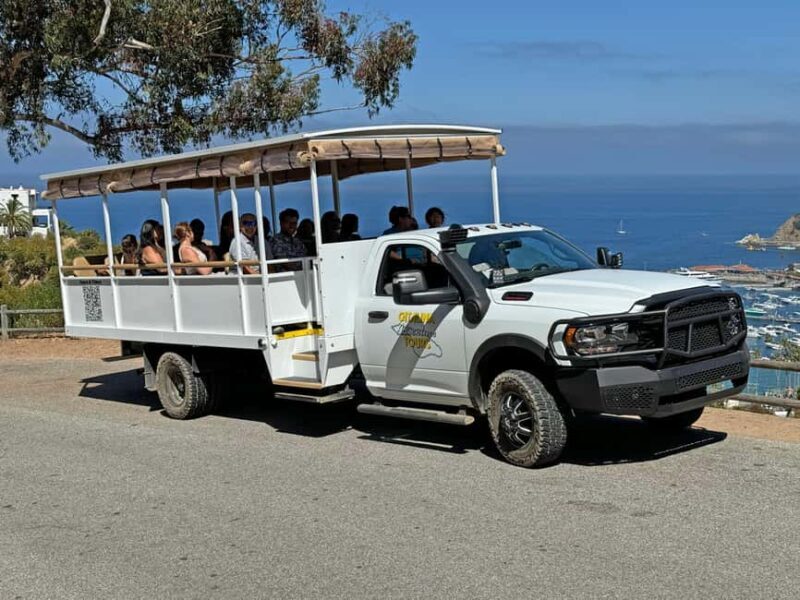 Catalina Island City & Scenic Mt. Ada Tour - Final Thoughts: Who Should Take This Tour?