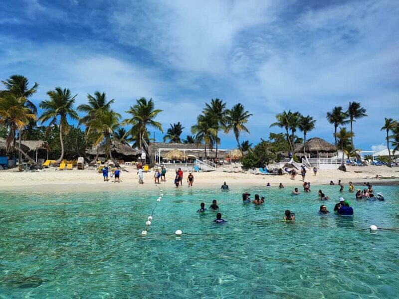 Catalina Island Comfort: Snorkeling & Catamaran Experience - The Experience in Detail