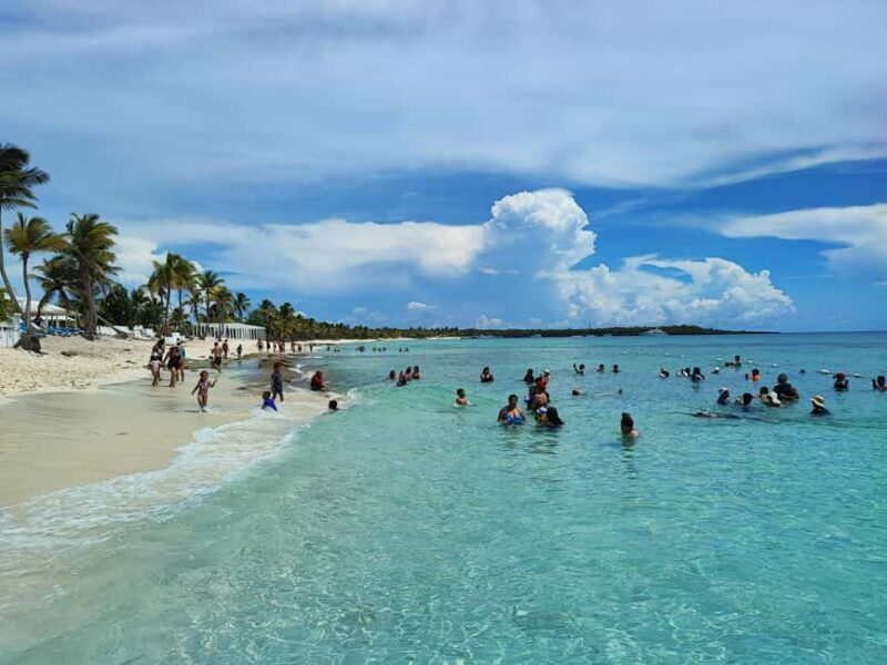 Catalina Island Comfort: Snorkeling & Catamaran Experience - What Makes This Tour Special?