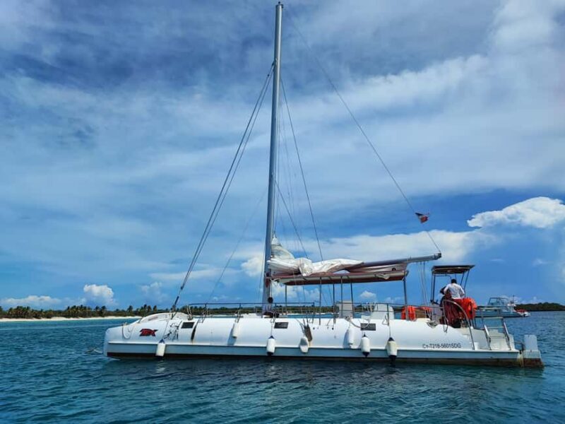 Catalina Island Comfort: Snorkeling & Catamaran Experience - Who Should Consider This Tour?