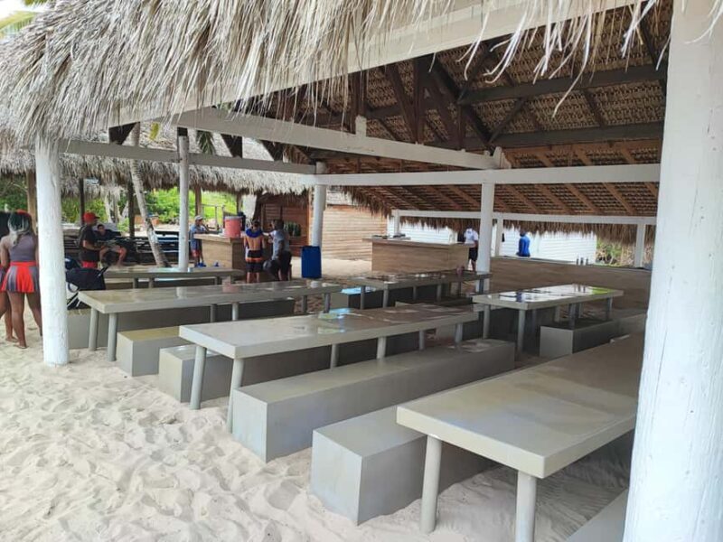 Catalina Island Comfort: Snorkeling & Catamaran Experience - The Sum Up