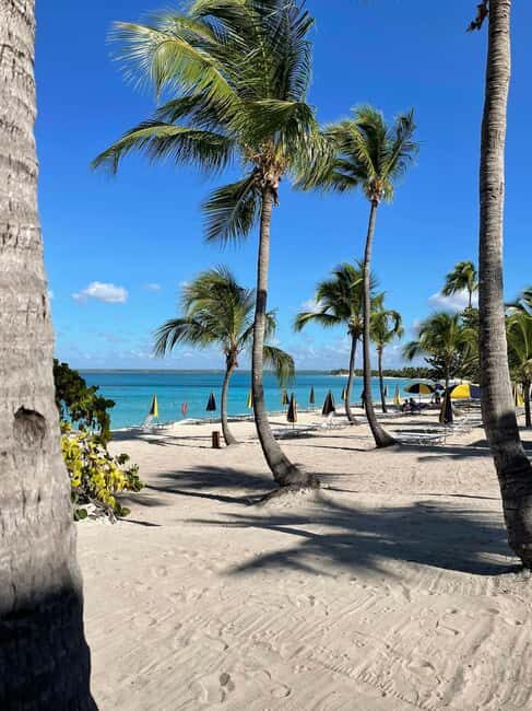 Catalina Island: Cruise, Snorkelling, Open Buffet & Drinks - Catalina Island: Cruise, Snorkelling, Open Buffet & Drinks — A Balanced Dive into Caribbean Paradise