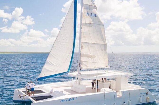 Catalina Island/DIVING and Sailboat Adventure / V.I.P SERVICES - Final Thoughts: Is This Tour Worth Your Time?