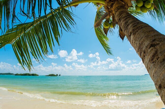 Catalina Island even more unspoilt than Saona Island - Who Should Consider This Tour?