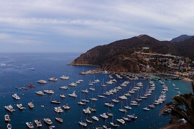 Catalina Island Ferry Avalon to Newport Beach - A Closer Look at the Catalina Island Ferry Experience