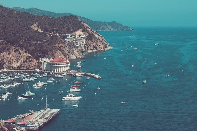 Catalina Island Ferry Avalon to Newport Beach - Who Will Love This Ferry Ride?