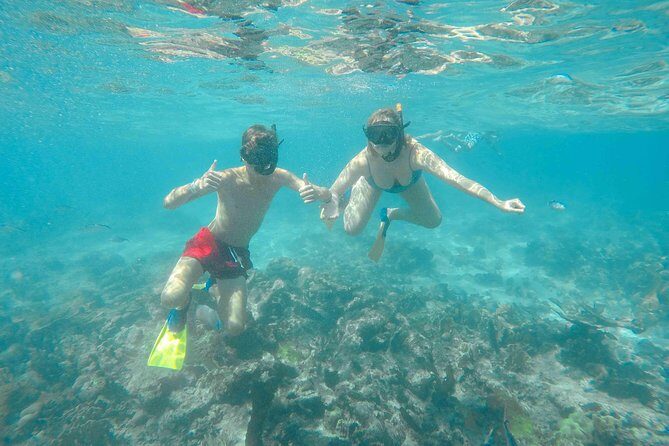 Catalina Island - Full Day All Inclusive Experience - What the Reviews Reveal