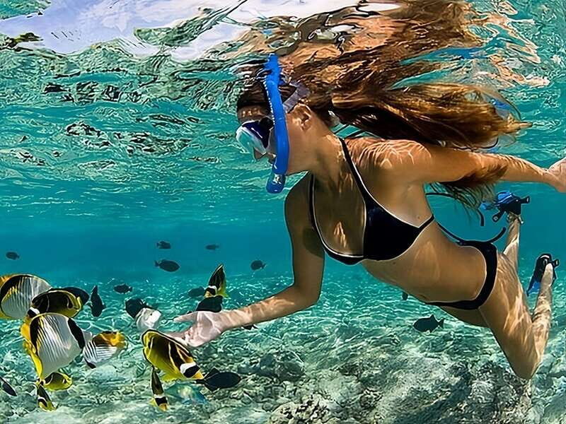 Catalina Island Full-Day Snorkeling + Lunch from Punta Cana - Practical Considerations and Review Insights