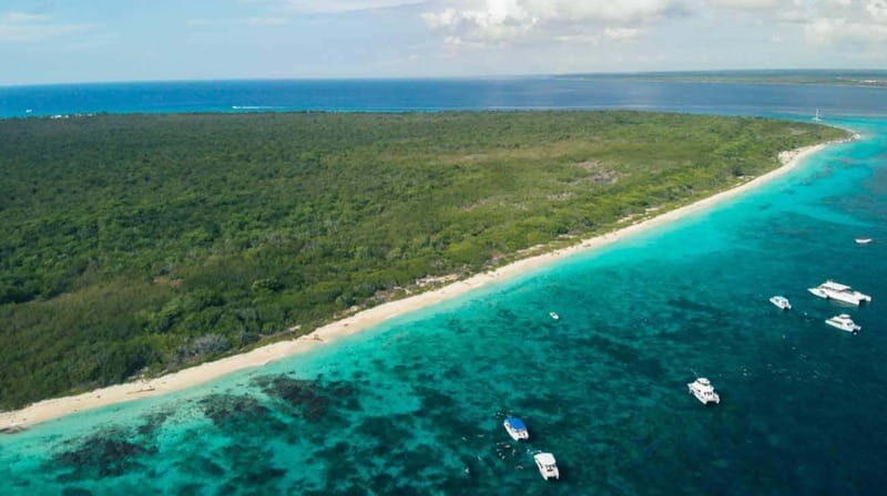 Catalina Island Full-Day Snorkeling + Lunch from Punta Cana - Who Is This Tour Best For?