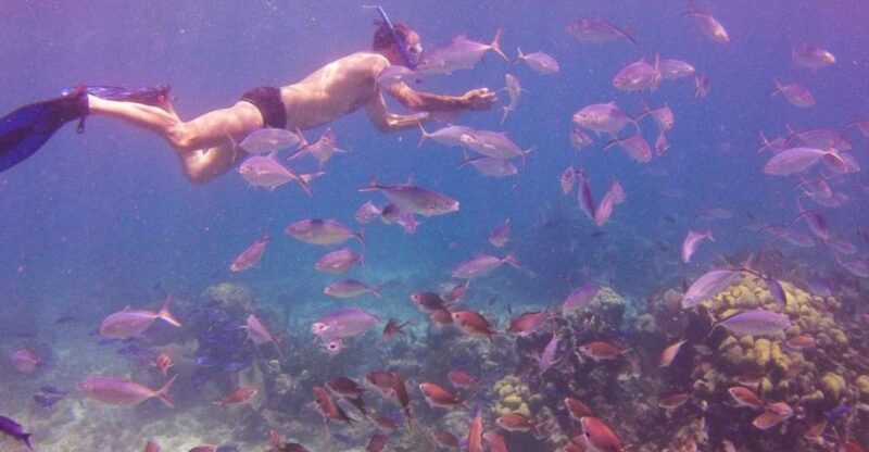 Catalina Island Full-Day Snorkeling Tour - FAQ