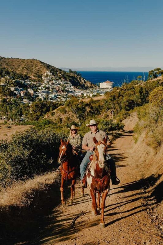 Catalina Island: Horse Trail Overlook Ride - Practical Details and Tips for Your Ride