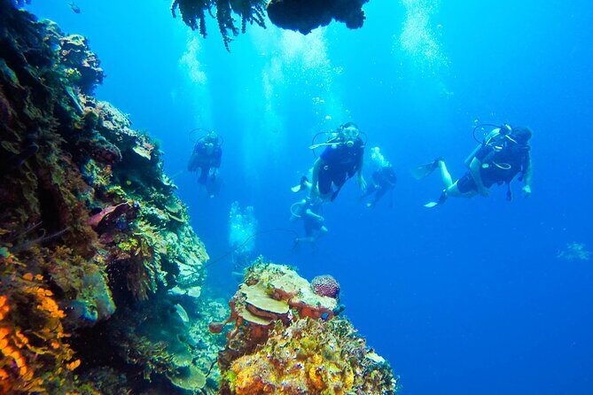 Catalina Island Scuba Diving Adventure The Wall & The Aquarium - FAQ
