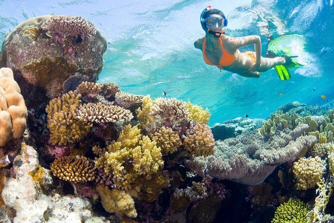 Catalina Island Snorkel Excursion from Punta Cana - A Simple Guide to the Catalina Island Snorkel Excursion from Punta Cana