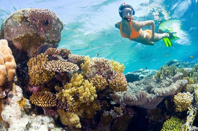 Catalina Island Snorkel Excursion from Punta Cana - An In-Depth Look at the Catalina Island Snorkel Tour