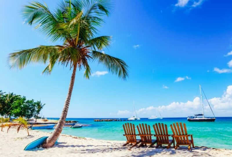 Catalina Island snorkeling Dominican Republic - FAQ: Common Questions About the Catalina Island Snorkeling Tour