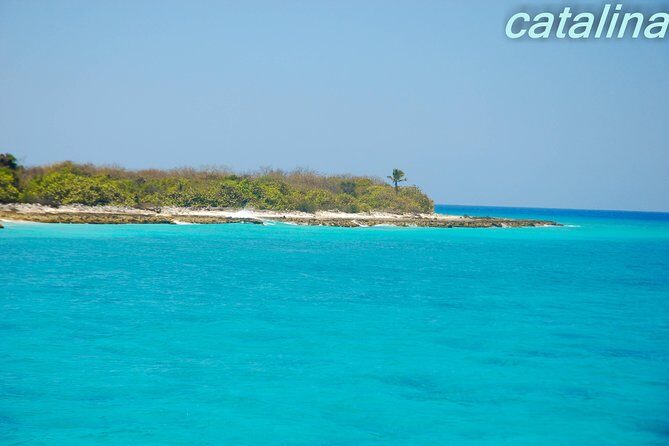 Catalina Island & Snorkeling Tour - A Deep Dive into the Catalina Island & Snorkeling Tour