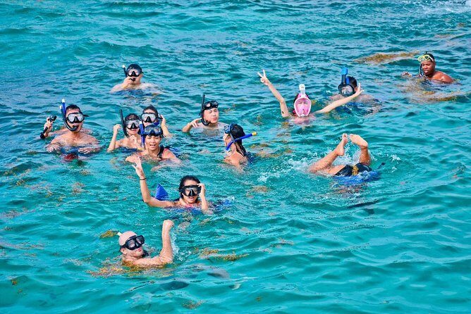 Catalina Island & Snorkling Tour Full Day All Inclusive - Key Points