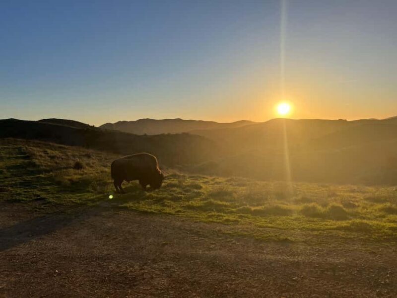 Catalina Island: Sunset Summit Tour - Final thoughts
