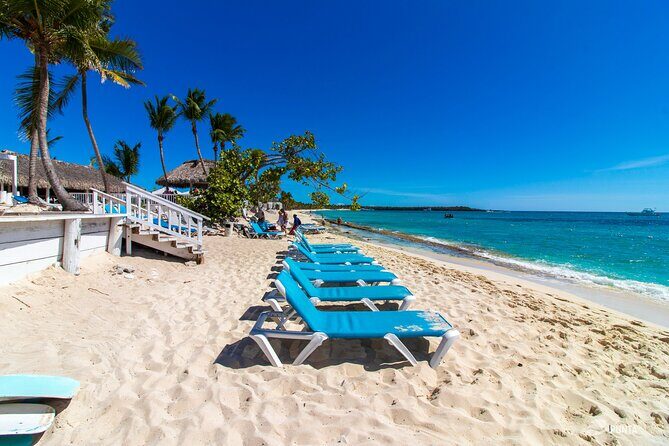 Catalina Island Tour - Evaluating the Cost and Value