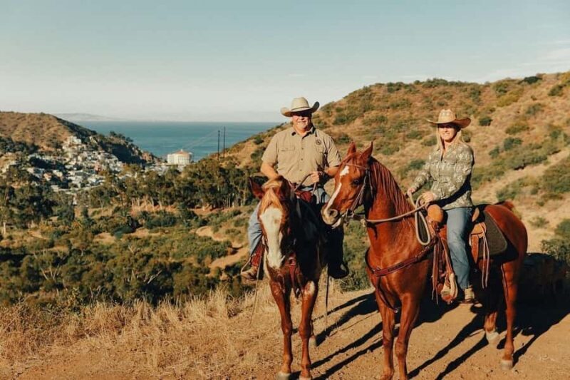 Catalina Island: Trail and Canyon Horseback Ride - Key Points