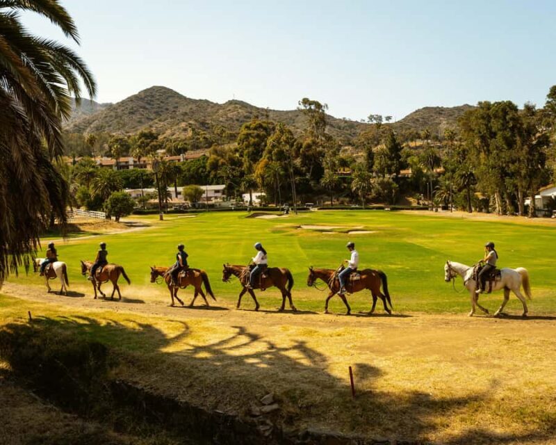 Catalina Island: Trail and Canyon Horseback Ride - A Closer Look at the Experience