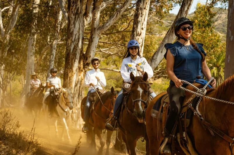 Catalina Island: Trail and Canyon Horseback Ride - What We Think