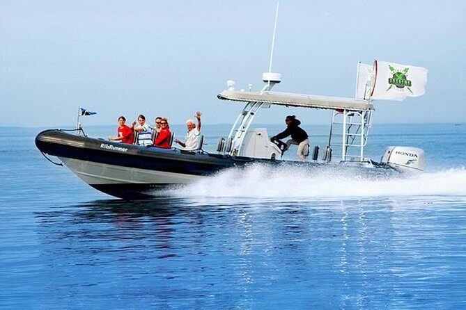 Catalina Island Trip with Hotel transfers & Optional tours - A Practical Overview of the Catalina Island Trip