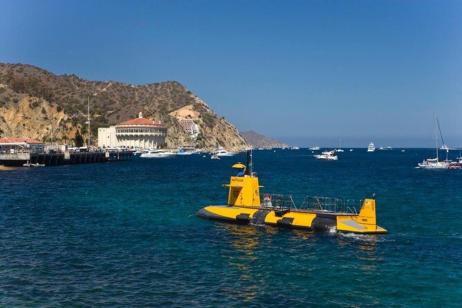Catalina Island Trip with Hotel transfers & Optional tours - Final Thoughts: Is This Tour for You?