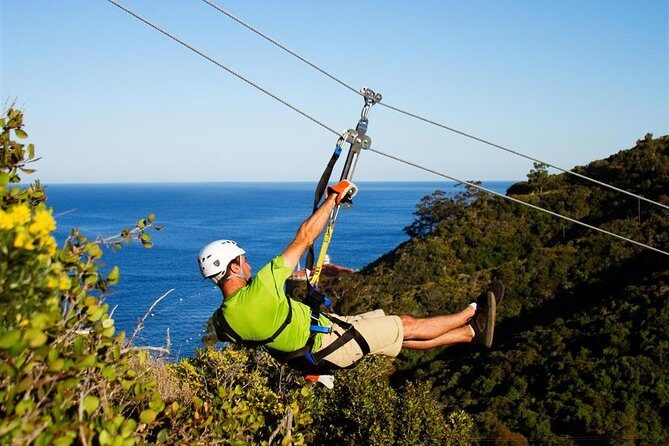 Catalina Island Trip with Zipline Eco Tour and Hotel Transfers - Value and Practical Considerations